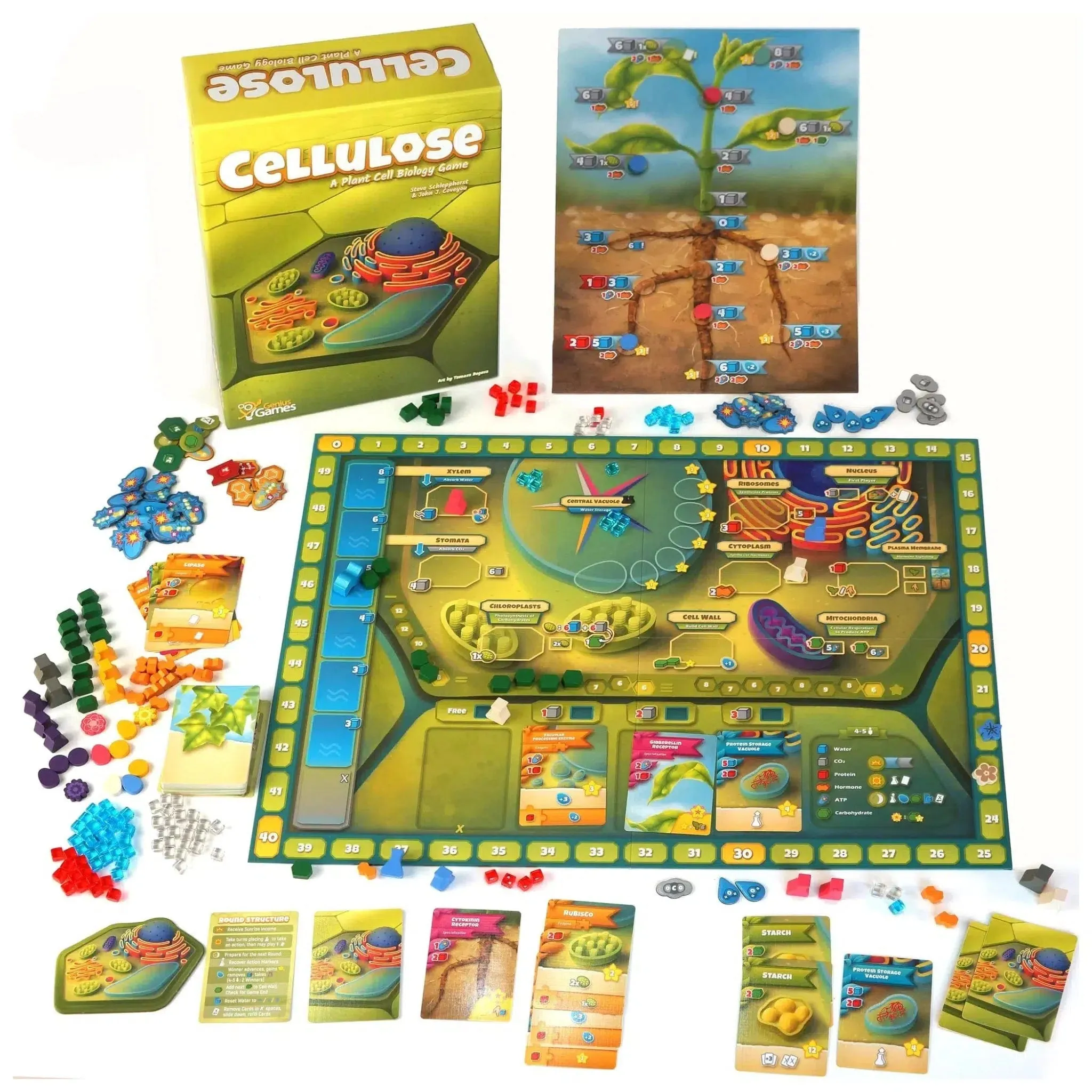 Cellulose: A Plant Cell Biology Game - Board Game - Genius Games