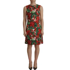 Dolce & Gabbana Multicolor Floral A-Line Dress