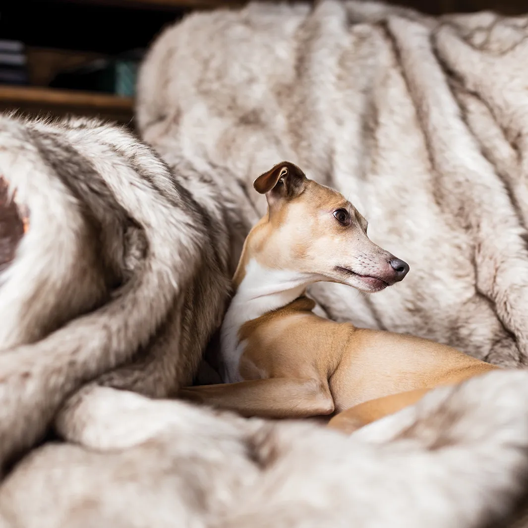 Faux-Fur Dog Blanket in Oatmeal